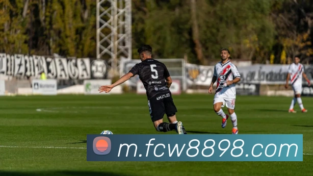 福彩网平台生态图